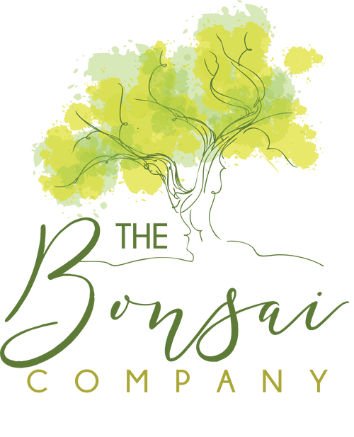 The Bonsai Company Header Logo