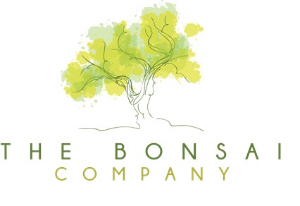 The Bonsai Company Footer Logo