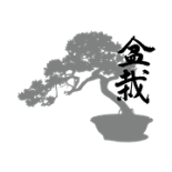 The Bonsai Company Fav Icon Image
