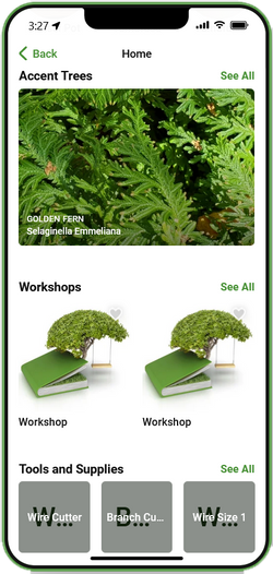Bonsai Show and Vendor App COMING SOON