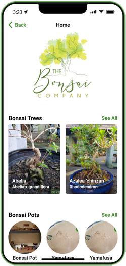 Bonsai Show and Vendor App COMING SOON