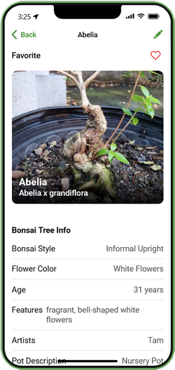 Custom Bonsai Store App - COMING SOON