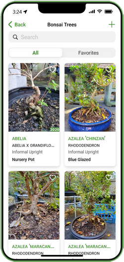 Bonsai Show and Vendor App COMING SOON